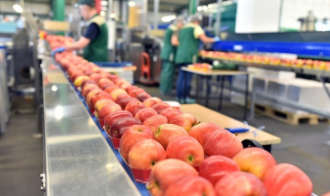 Food industry