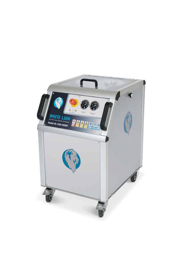 Lion blanc 5000 Robby